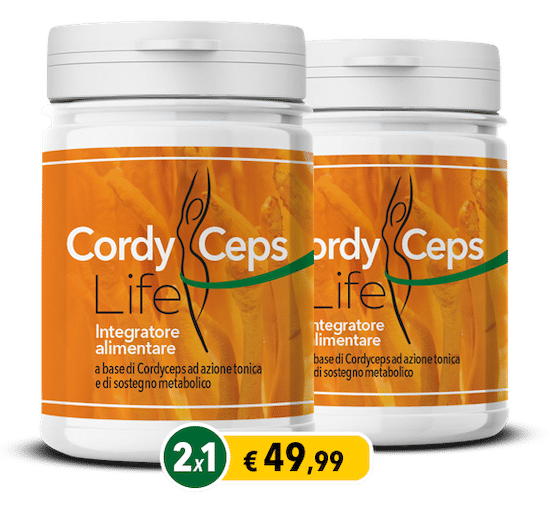 cordyceps life