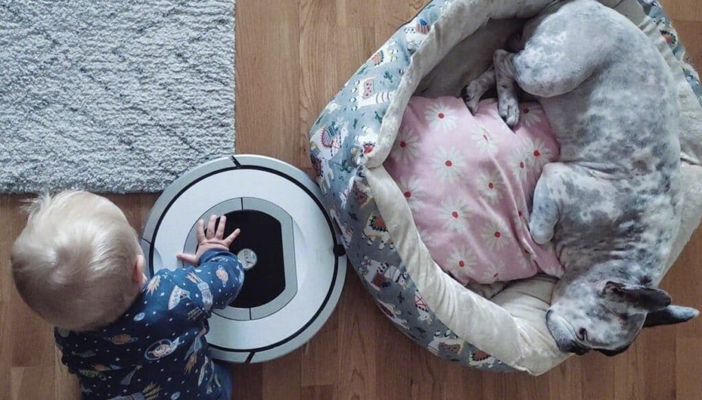 roomba quale scegliere