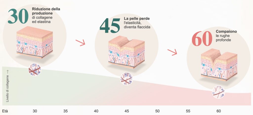 schema grafico perdita di collagene